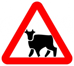 Знак Перегон скота