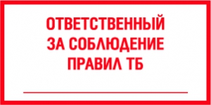 Табличка Ответственный за соблюдение правил ТБ